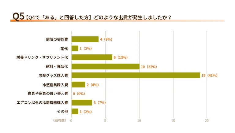 追加出費の内訳