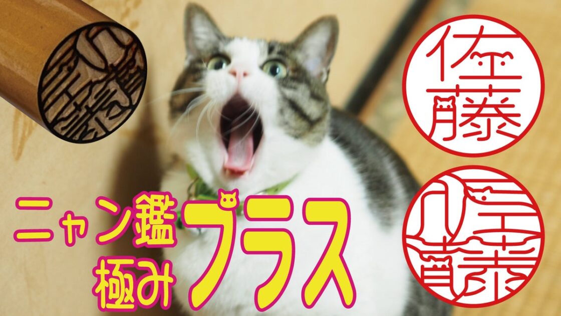 ハンコレスの時代でも人気の究極の猫印鑑がさらに進化!瞳の追加で”猫度”が大幅アップした「ニャン鑑極みプラス」を10月15日よりクラウドファンディングで先行割引発売