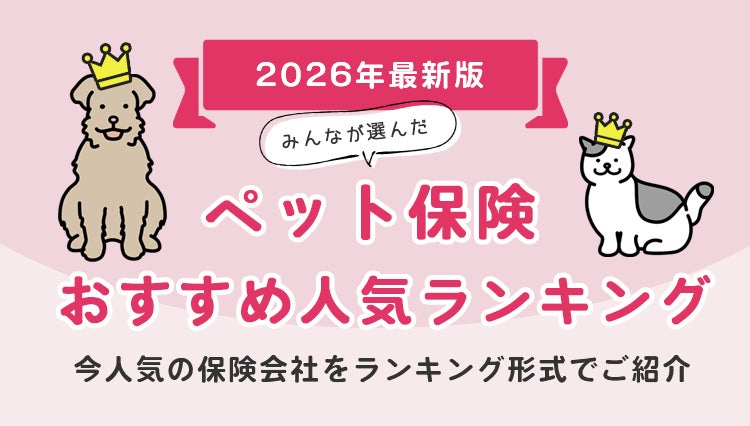 ペット保険の人気TOP5、2026年10月最新版が公開 実際の申込件数から見えた上位の顔ぶれ