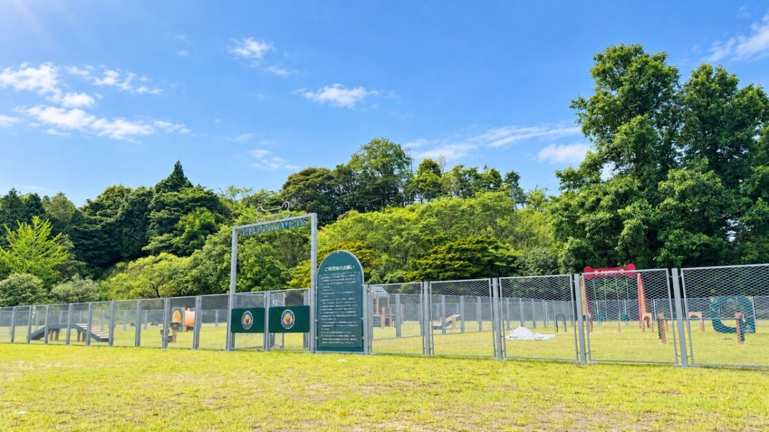 【福岡・東峰村】THE DOG CAMPUS -KOISHIWARA-、独自の25％割引「九州を旅して応援プラン」を開始